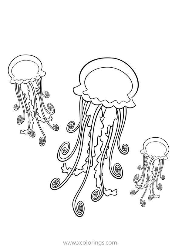 Free Three Jellyfishes Coloring Page printable