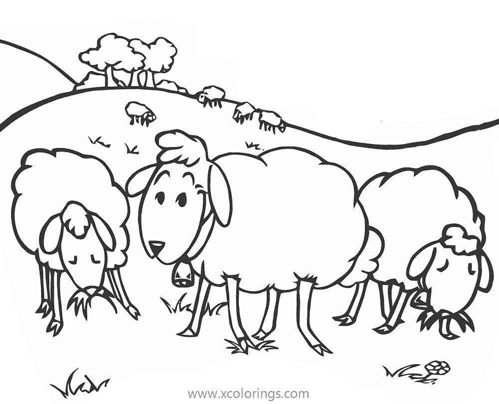 Free Three Sheep Coloring Pages printable