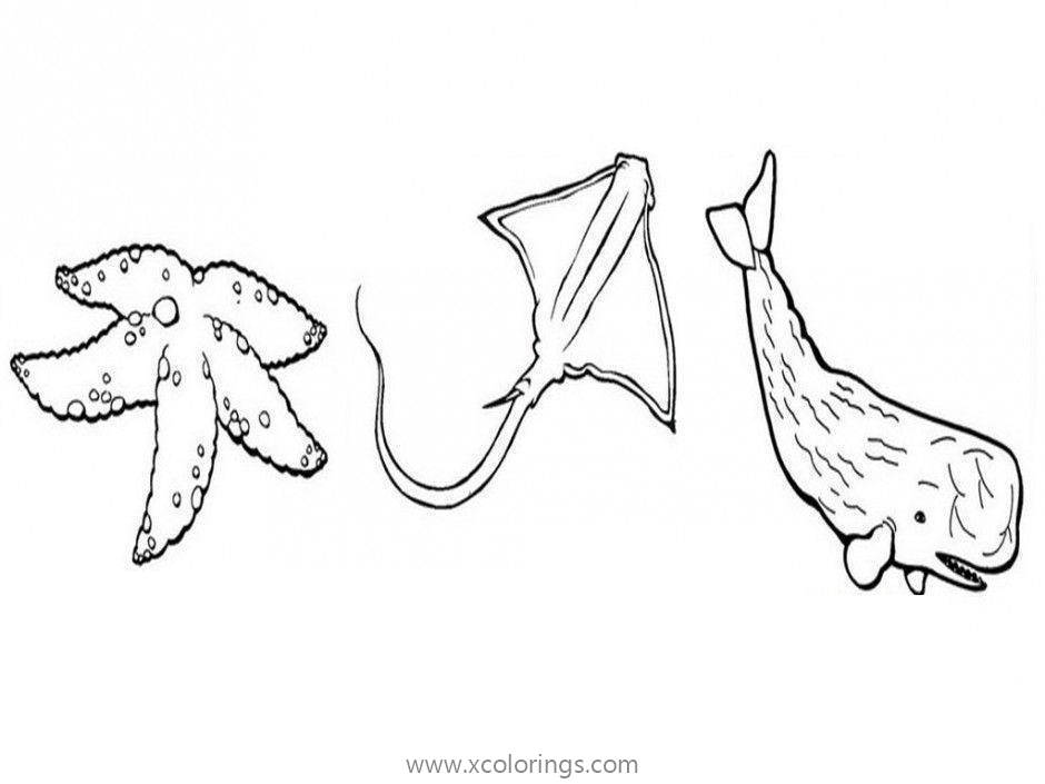Free Whale Stingray and Starfish Coloring Pages printable