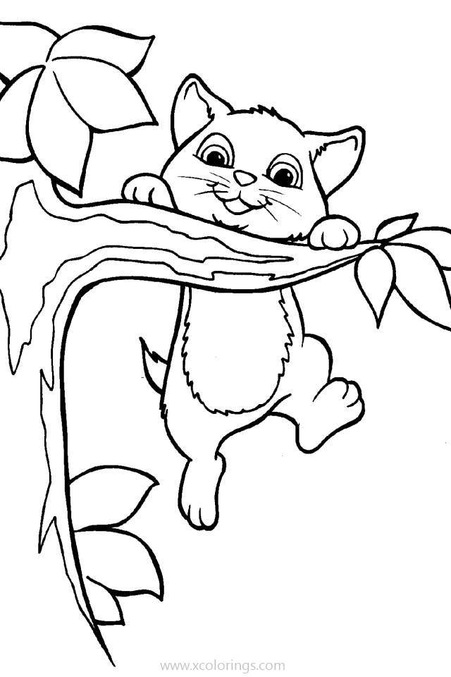 Free Lisa Frank Animals Coloring Pages Kitty printable