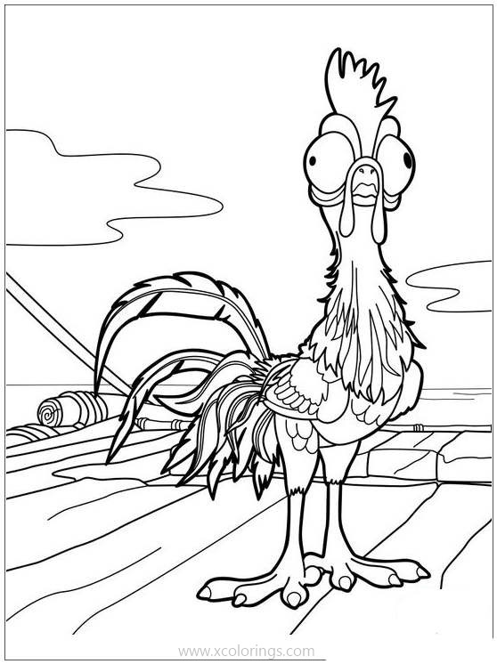 Free Moana Coloring Pages Heihei printable