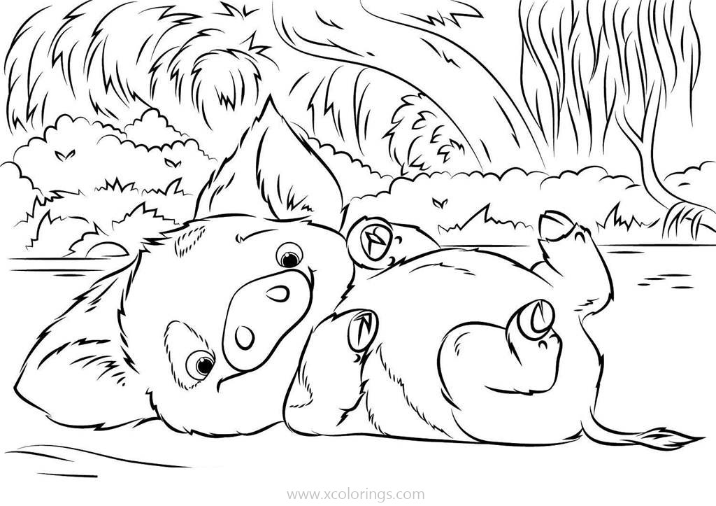 Free Moana Coloring Pages Pet Pig printable