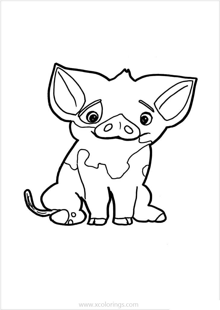 Free Moana Coloring Pages Pua printable