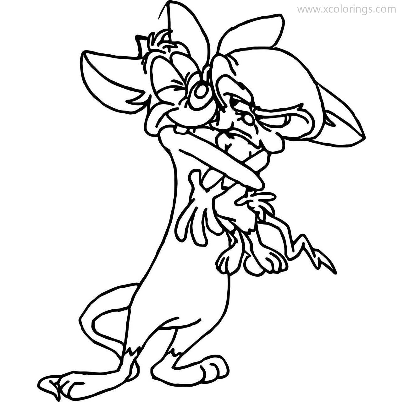 Free Animaniacs Coloring Pages Pinky and the Brain printable