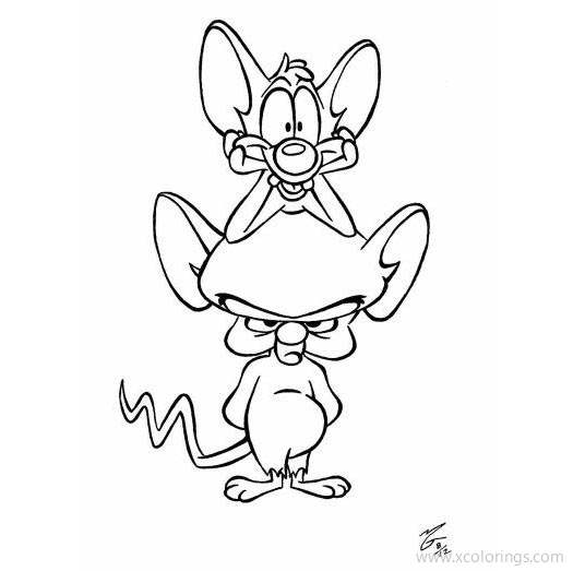 Free Animaniacs Coloring Pages Pinky is On the Brain's Head printable