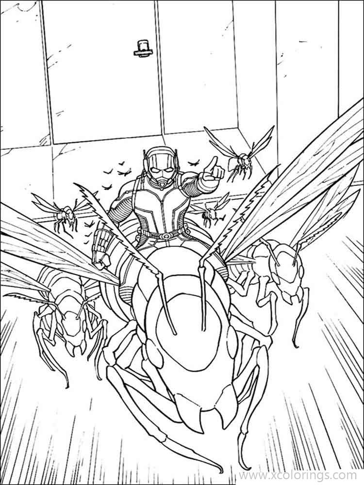 Free Ant Man Coloring Pages Leader of the Ants printable