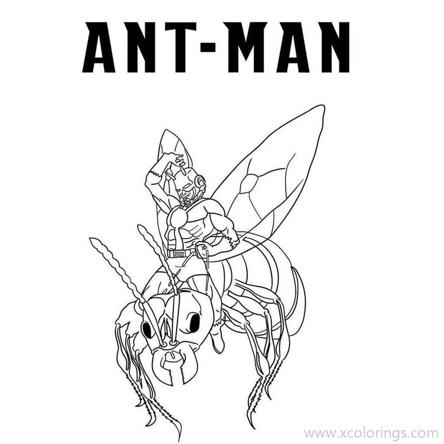 Free Ant Man and Insect Partner Coloring Pages printable