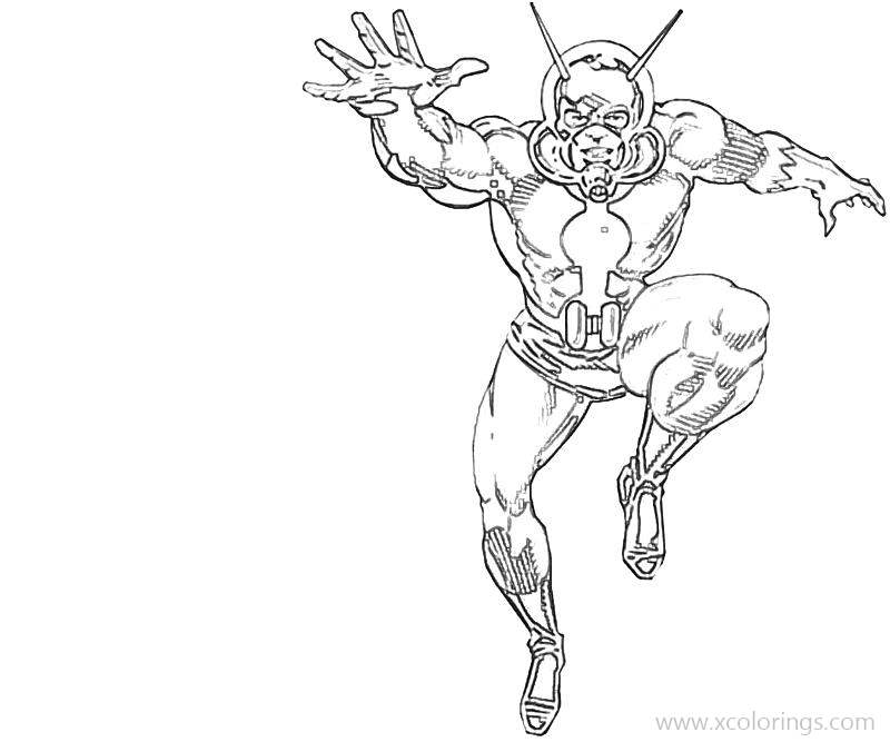 Free Ant Man with Muscles Coloring Pages printable