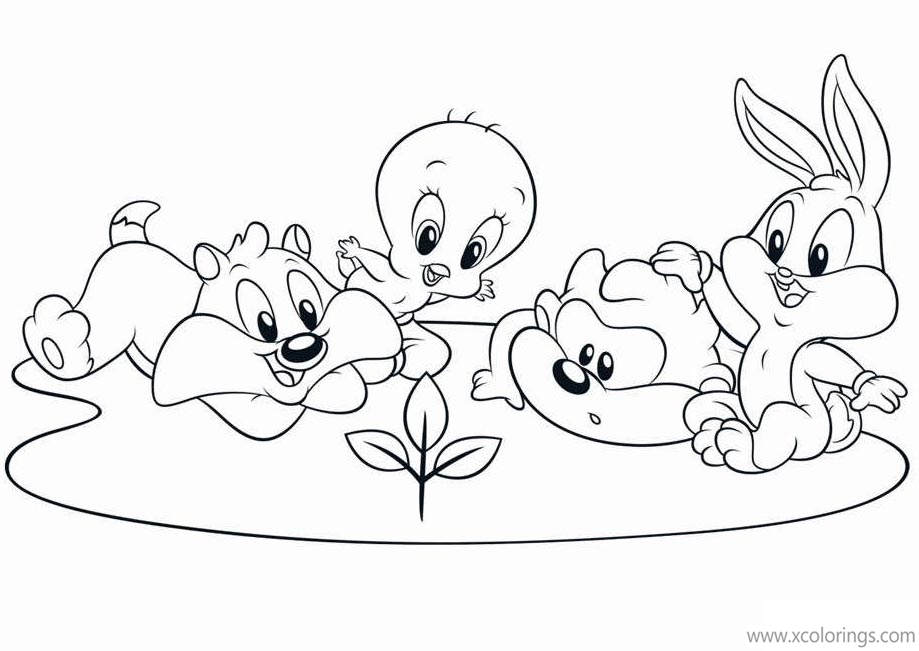 Free Baby Looney Tunes Coloring Pages A Small Plant printable
