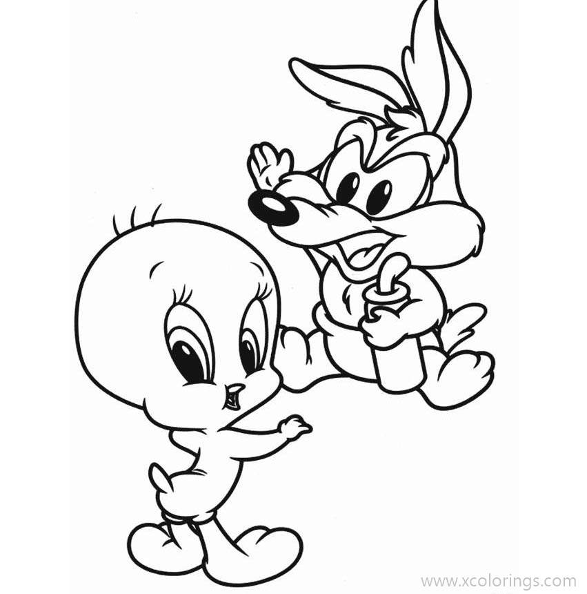 Baby Looney Tunes Coloring Pages Baby Roadrunner is a Chaparral Bird ...