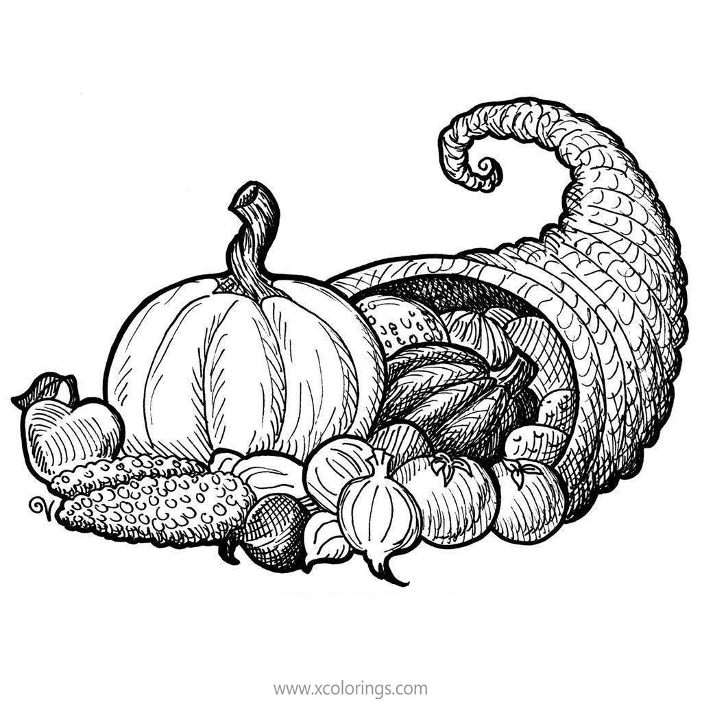 Free Cornucopia Coloring Pages Realistic Drawing printable