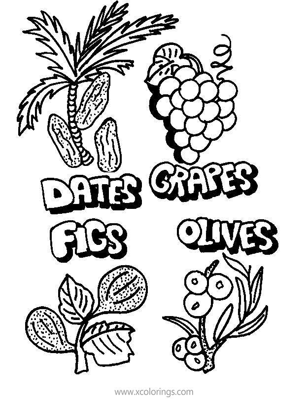 Free Sukkot Coloring Pages Dates Grapes Fics and Olives printable