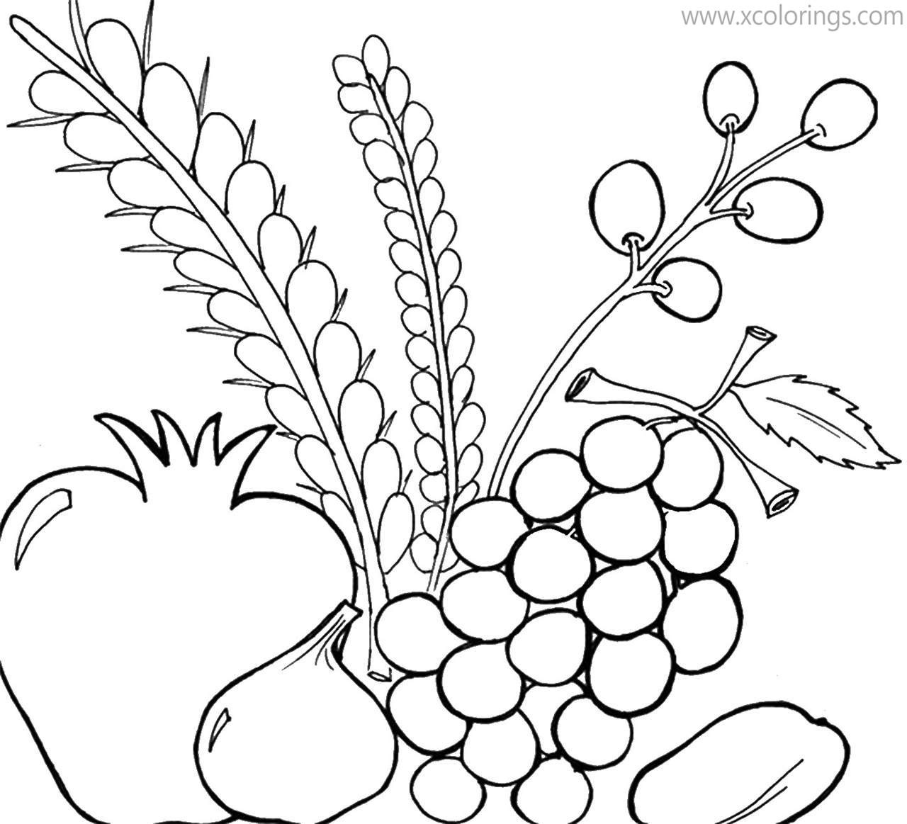 Free Sukkot Food Coloring Pages printable