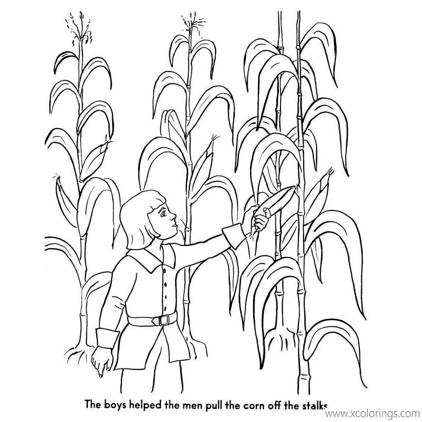 Free Pilgrim Coloring Pages Boy and Corn printable
