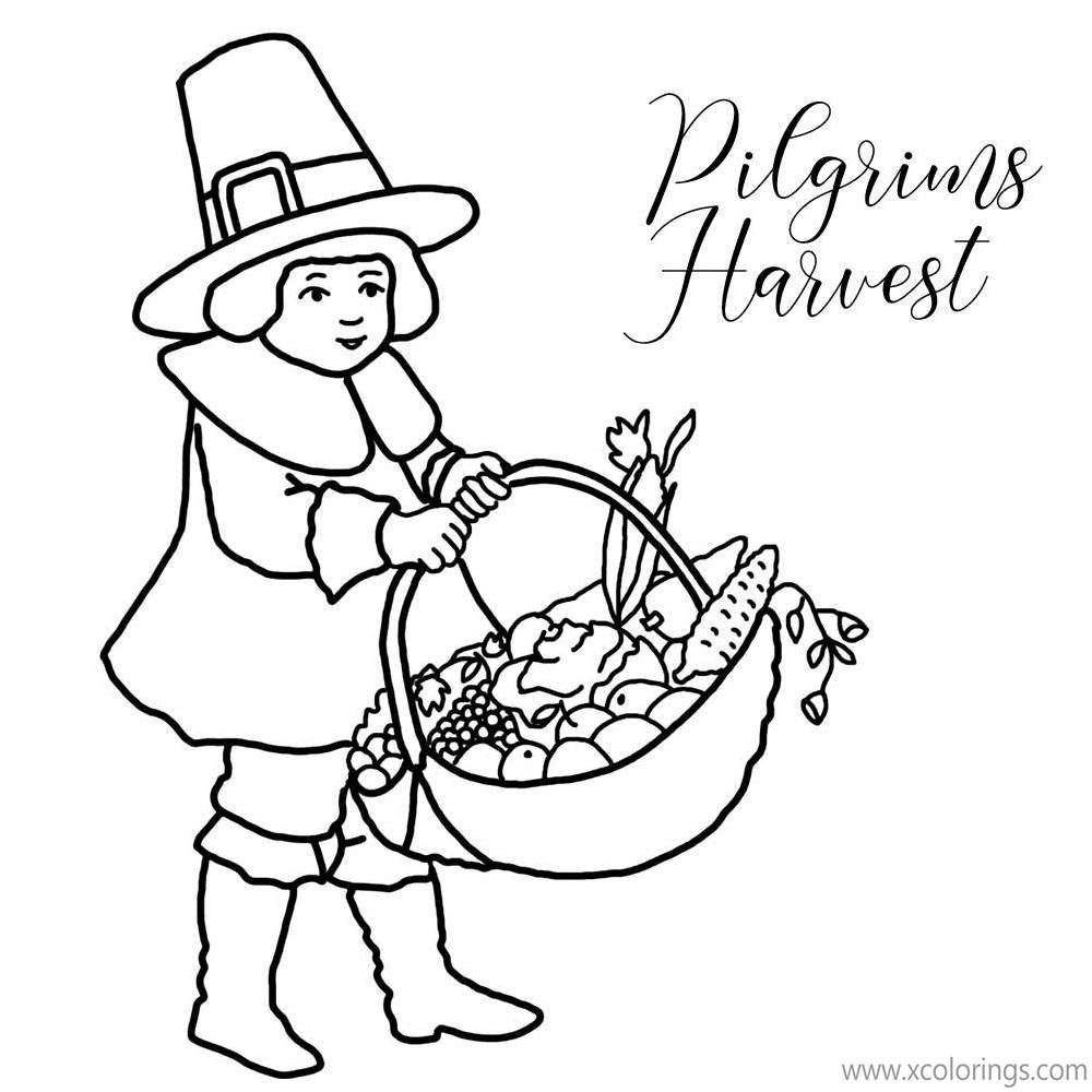 Free Pilgrim Harvest Boy Coloring Pages printable