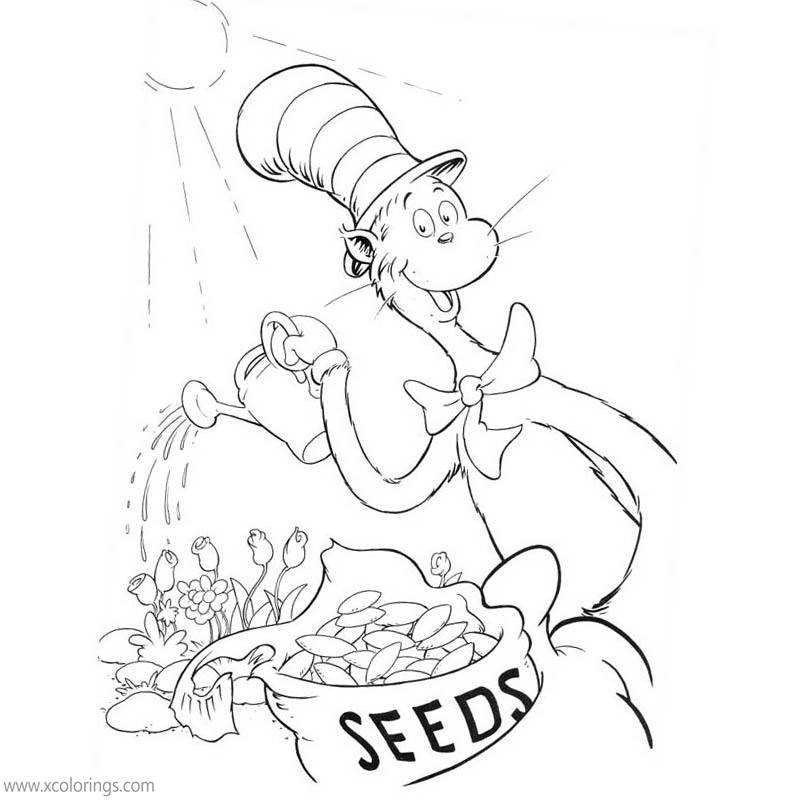 Free Cat In The Hat Coloring Pages Watering Flowers printable