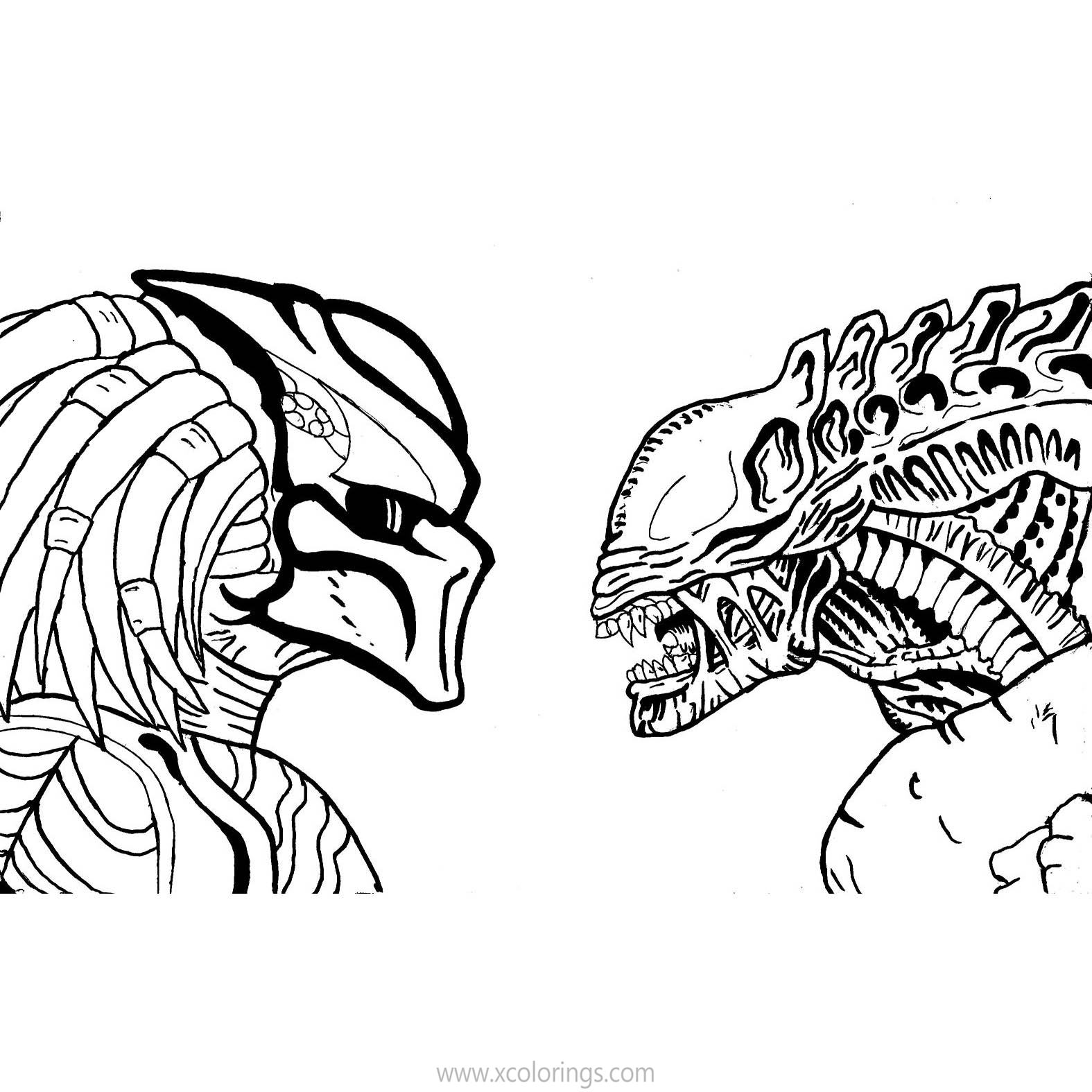 Free Alien VS Predator Coloring Pages Linear printable