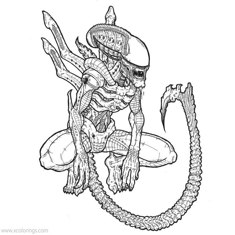 Alien Vs Predator Characters Coloring Pages XColorings