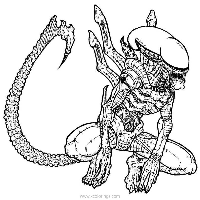 Free Predator Character Alien Coloring Pages printable