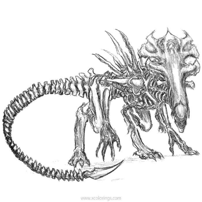Free Predator Coloring Pages Animal Alien printable