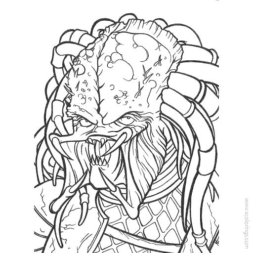 Free Predator Coloring Pages Outline Drawing printable