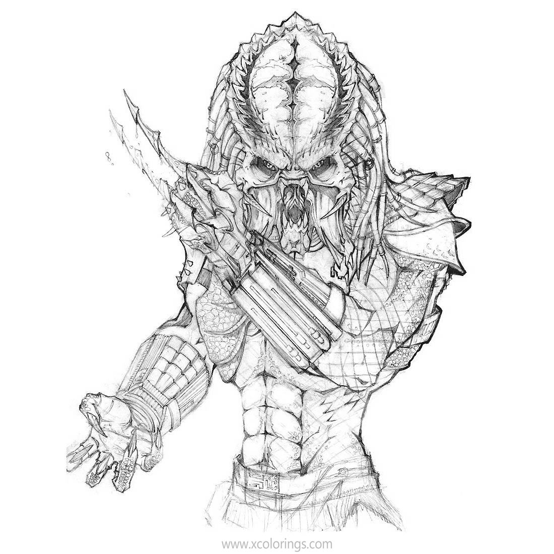 Predator Coloring Pages Free and Printable