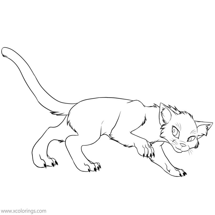 Free Warrior Cat Coloring Pages Catwalk printable