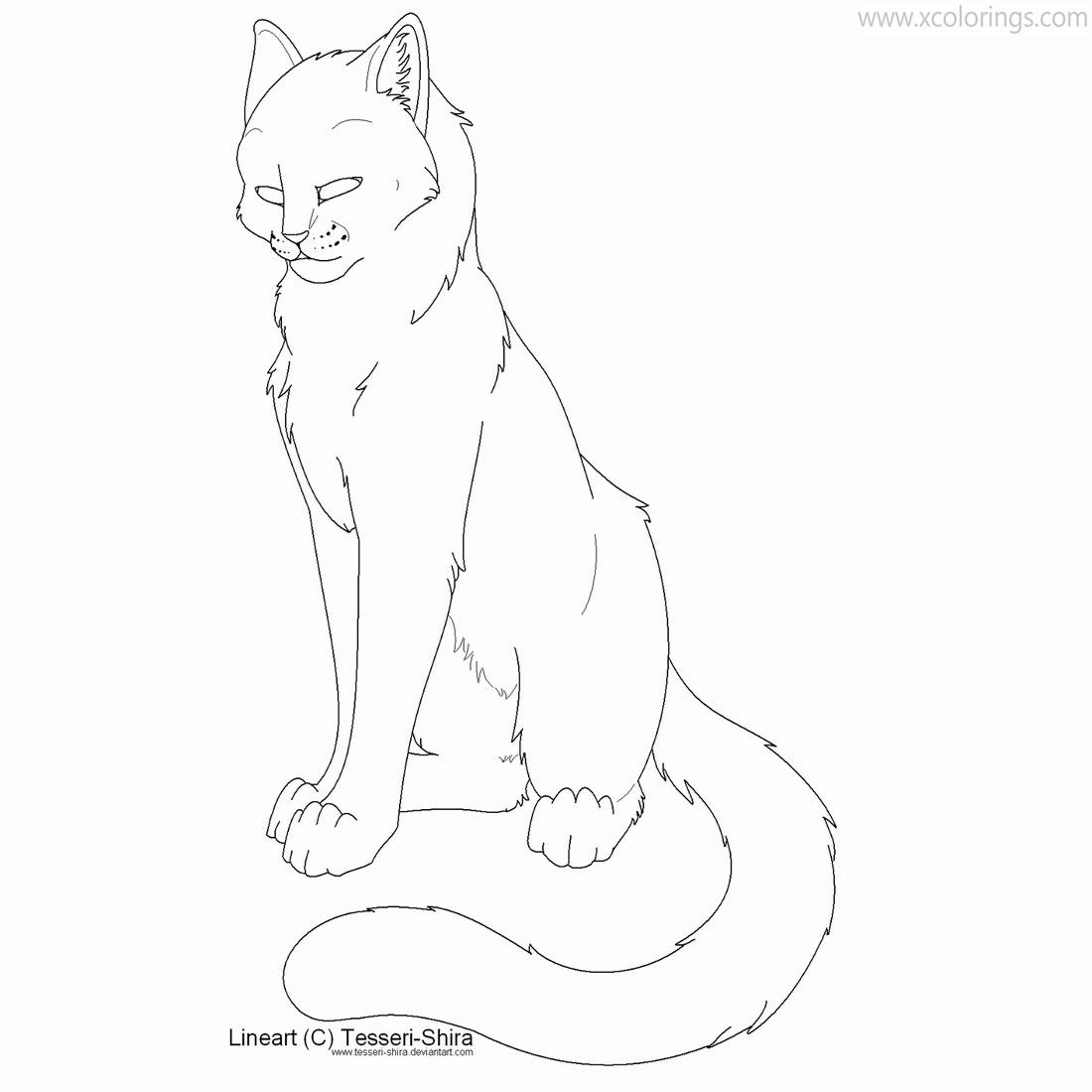 Free Warrior Cat Coloring Pages Drawn by Tesseri Shira printable