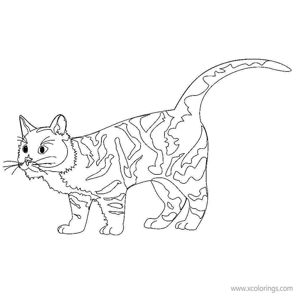 Free Warrior Cat Coloring Pages Free to Print printable