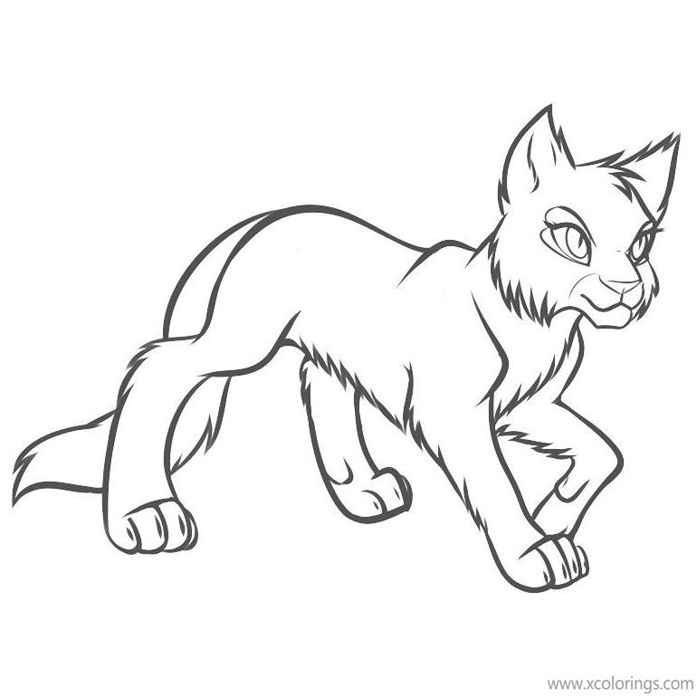 Free Warrior Cat Coloring Pages Sketch printable