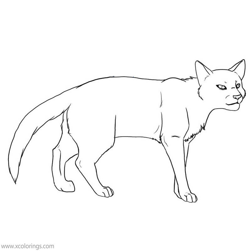 Free Warrior Cat Coloring Pages by mireille printable