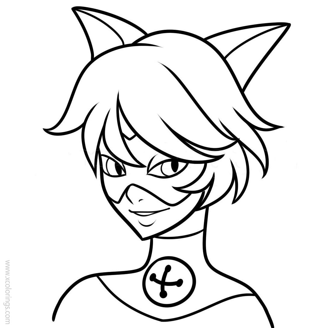 Free Cat Noir from Miraculous Ladybug Coloring Pages printable