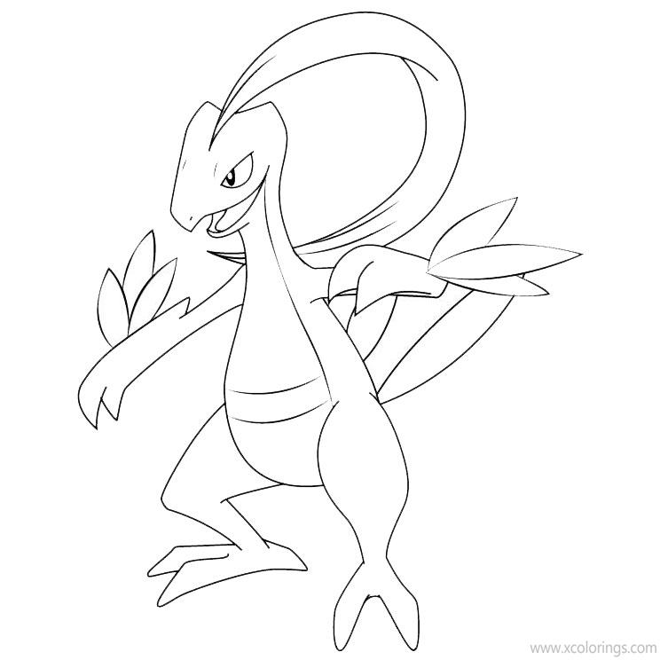Free Grovyle Pokemon Coloring Pages printable