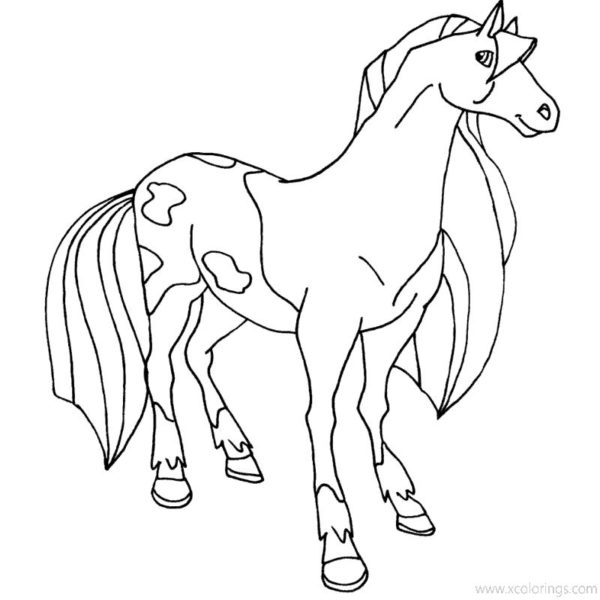 Horseland Coloring Pages Will Taggert and Jimber Horse - XColorings.com