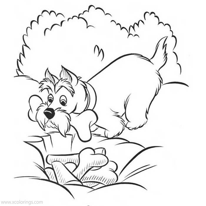 Free Lady and The Tramp Coloring Pages Jock with Bones printable