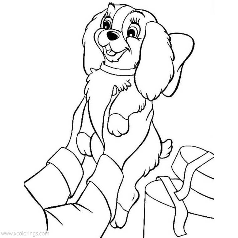 Free Lady and The Tramp Coloring Pages Lady as Gift printable
