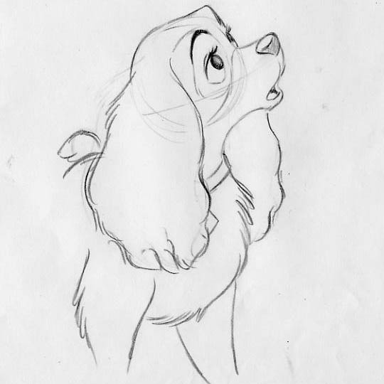 Free Lady and the Tramp Coloring Pages Hand Drawing printable