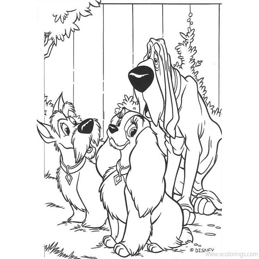 Free Lady and the Tramp Coloring Pages Trusty with Jock and Lady printable