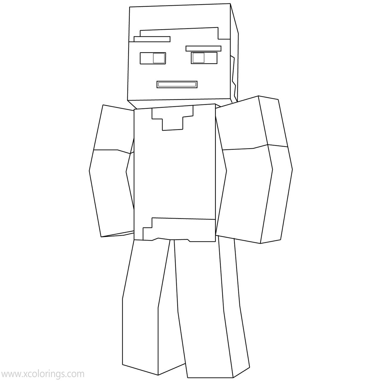 Minecraft Steve Coloring Pages With Unicorn