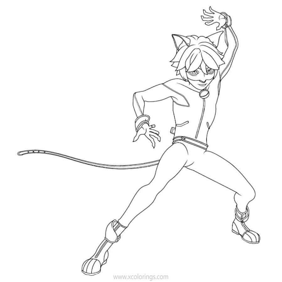 Free Miraculous Ladybug Coloring Pages Cat Noir is Fighting printable
