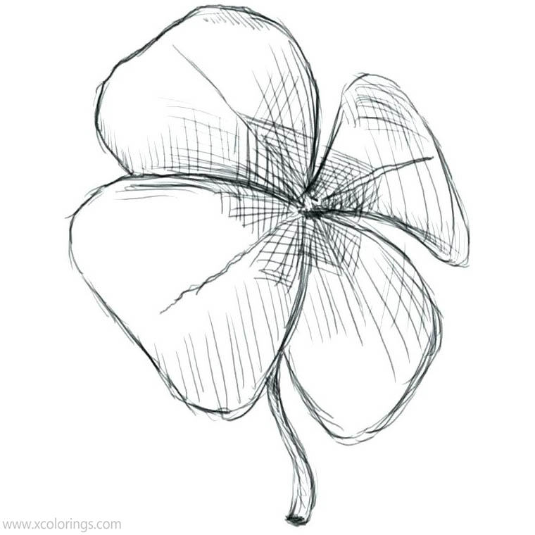 Free 4 Leaf Clover Coloring Pages Hand Drawing printable