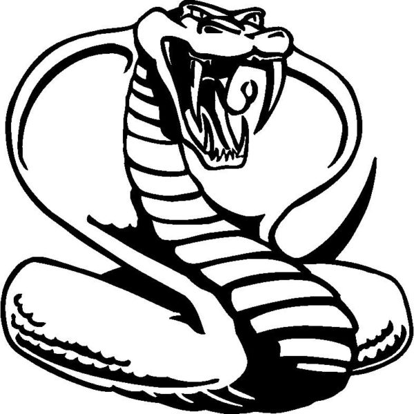 Cobra Kai Coloring Pages ~ Free Printable Snake Coloring Pages For Kids ...