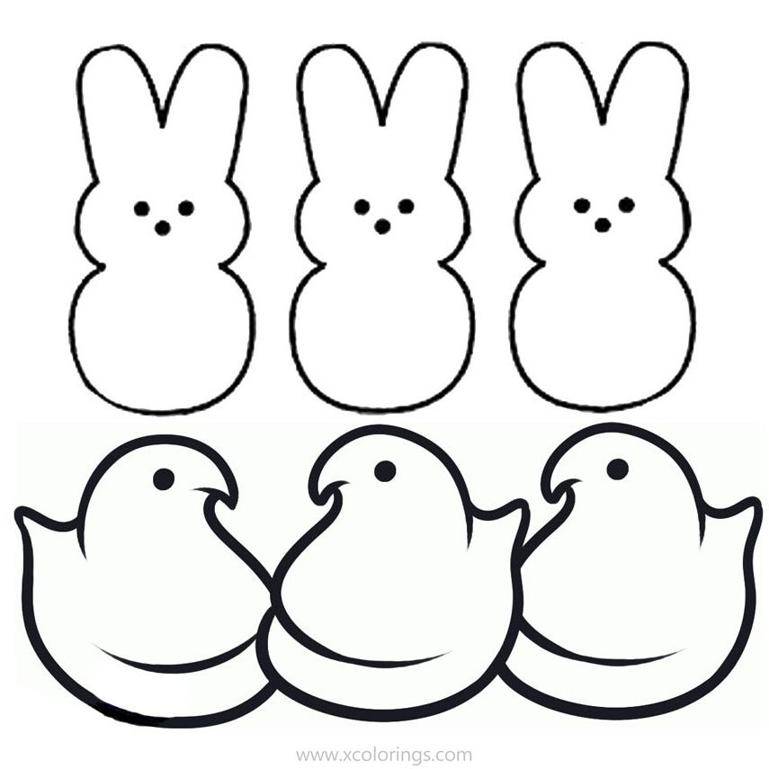 Free Marshmallow Peeps Coloring Pages 3 Chicks and 3 Bunnies printable