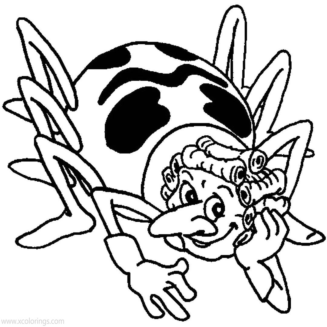 Free Maya the Bee Coloring Pages Spider printable