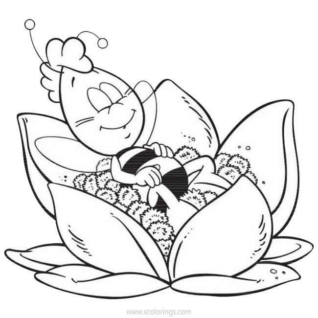 Free Maya the Bee Coloring Pages Willy is Asleep printable