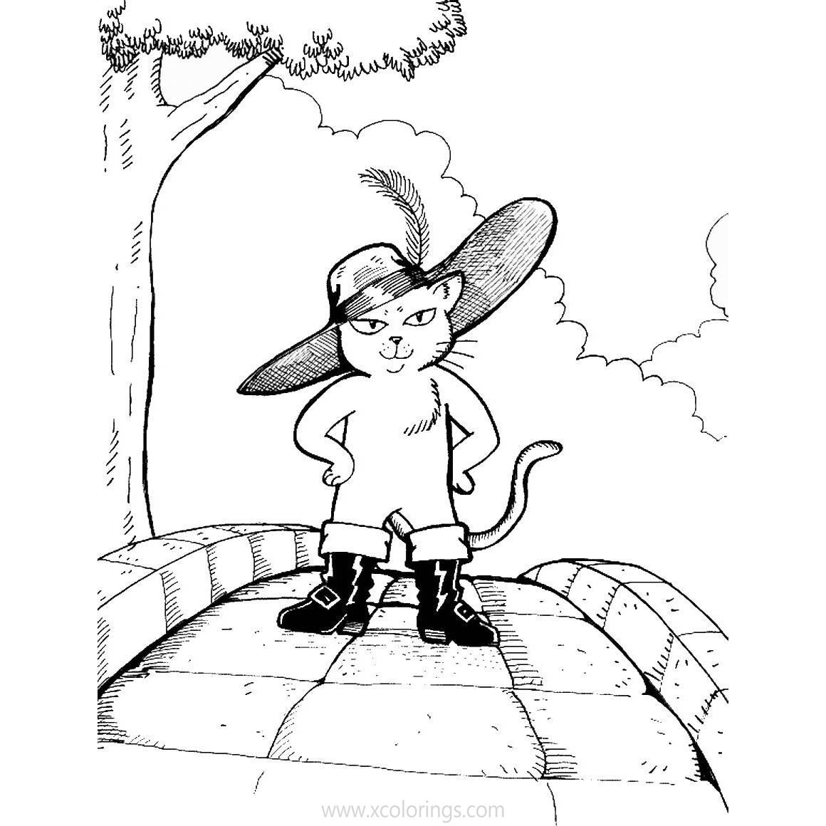 Free Puss in Boots On the Road Coloring Pages printable