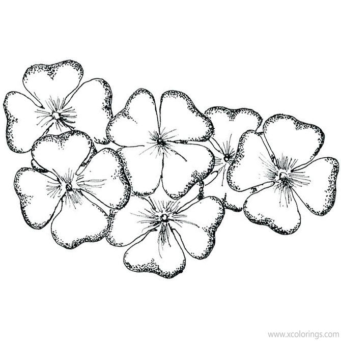 Free Realistic 4 Leaf Clover Coloring Pages printable