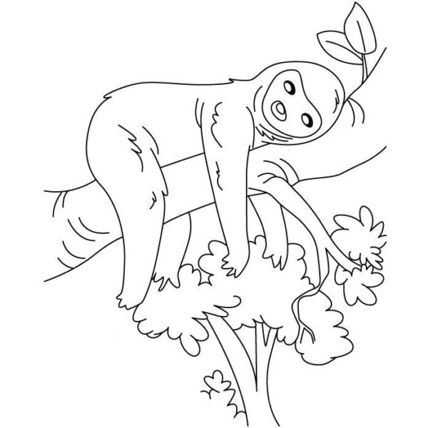 Sid Sloth Playing On The Tree Coloring Pages XColorings