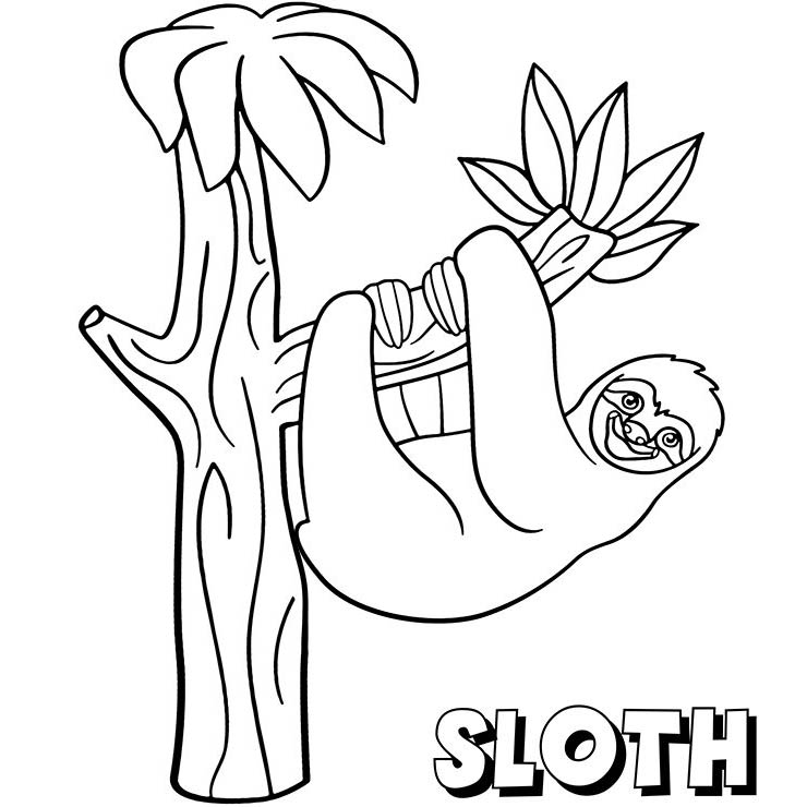 Free Letter S for Sloth Coloring Pages printable