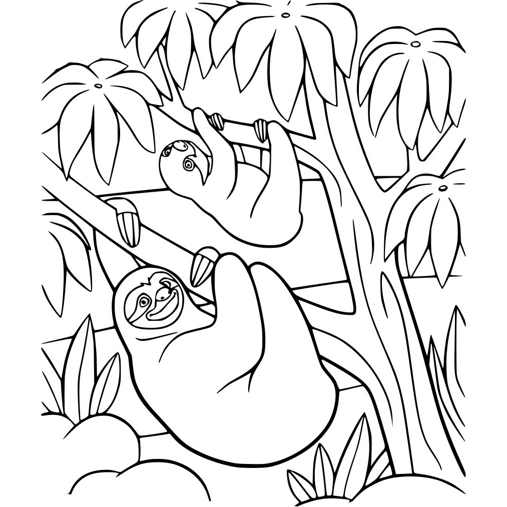 Free Sloth Coloring Pages Three Toed Sloth On the Tree printable